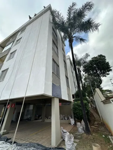 Limpeza e corte de coqueiro 