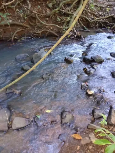 CHÁCARA 2.5 HA TERENOS