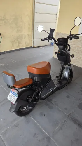 PANDA WD-2