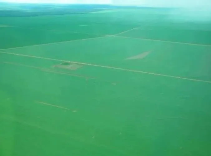 Fazenda 62 mil hec. Planta hoje 32 mil hec no MT. 4 bilhões.
