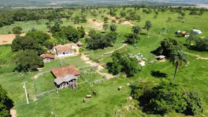 Morada Nova - Fazenda 687 hec - Valor: R$18.000,00 por cada hectare