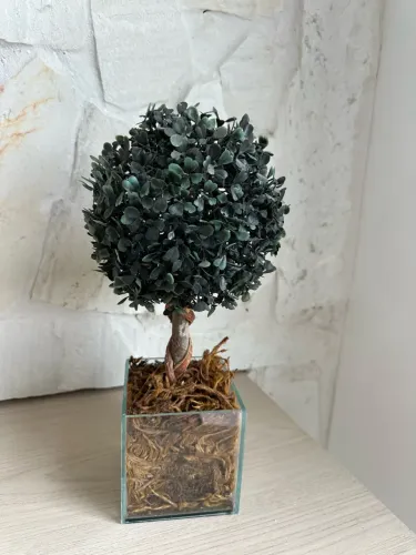 Vaso Planta Decorativo