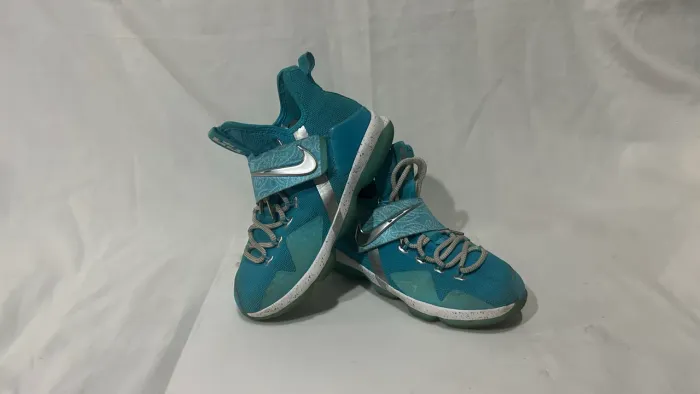 Tênis Nike Lebron XIV 14 HWC GS The Nature Boy Ric Flair tamanho 6Y