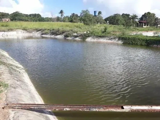 Granja com 15 hectares na região de vera cruz