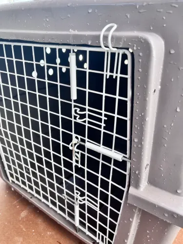 Caixa transportadora de animais