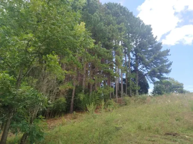 terreno a venda no salto Caveiras Lages 10.000 metros