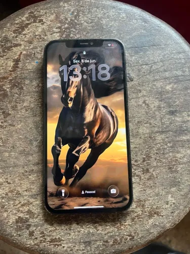 Celular IPHONE 12 pro Max