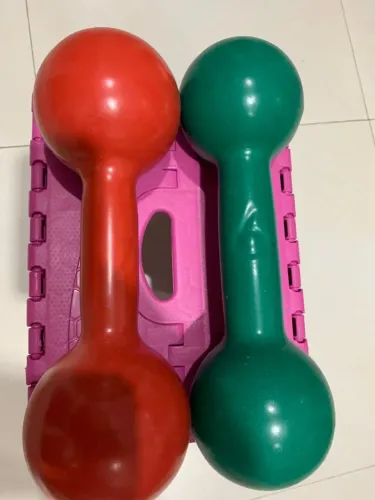 Os dois halteres (6 e 7kgs) juntos por 250 reais