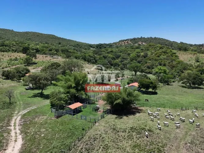 Fazenda 90 alqueires (435,60 hectares) Varjão - Go