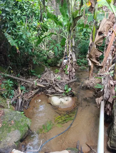 Terreno rural de 1 alqueire à venda em Alto Pongal Anchieta ES com café banana córrego e a