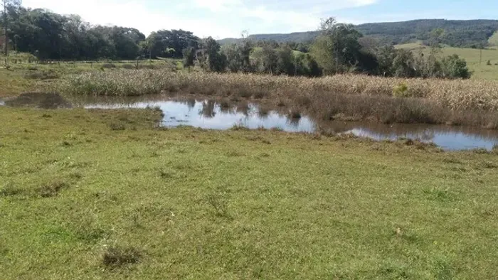Sitio/Área Rural com 19,5 Hectares em Morungava Gravataí RS