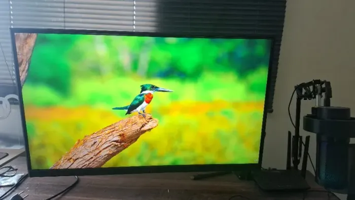Monitor