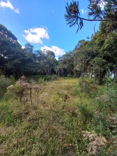 Terreno no interior de contenda São pedro