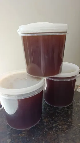 Mel puro - balde 5kg - florada nativa do Norte de Minas