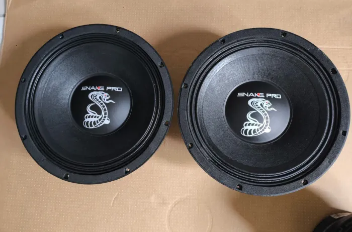 SNAKE PRO 600 RMS 12 POLEGADAS