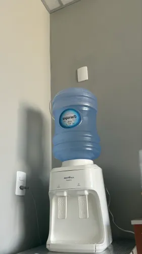 Bebedor