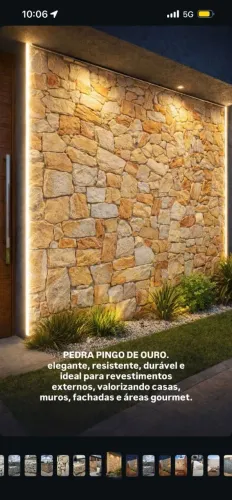 Pedras almofadada pingo de ouro