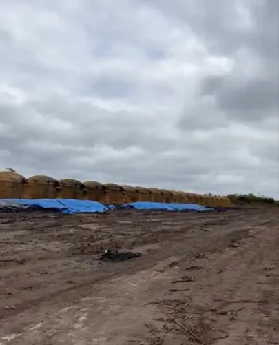 Vendo fazenda já com eucalipto pronto pra corte