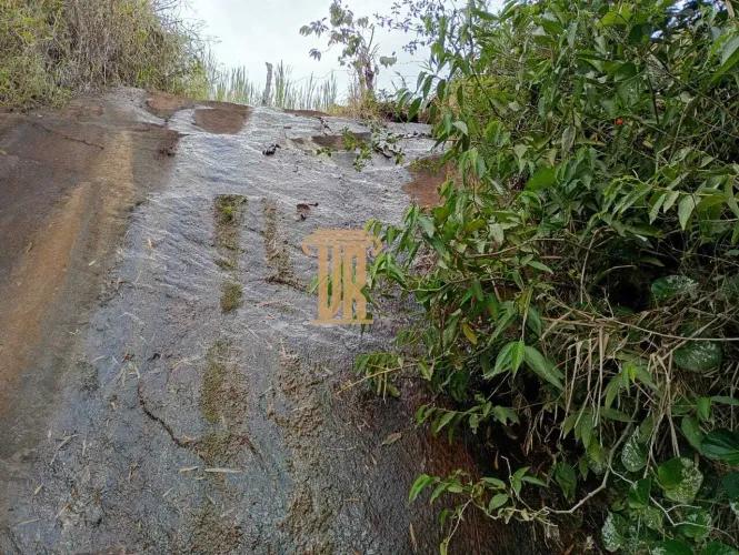 Sitio de 17 alqueires em Lagoinha - SP