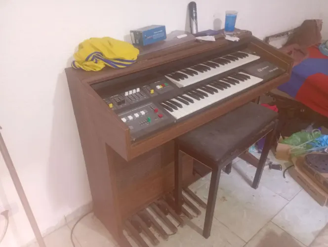 Órgão musical, gambit