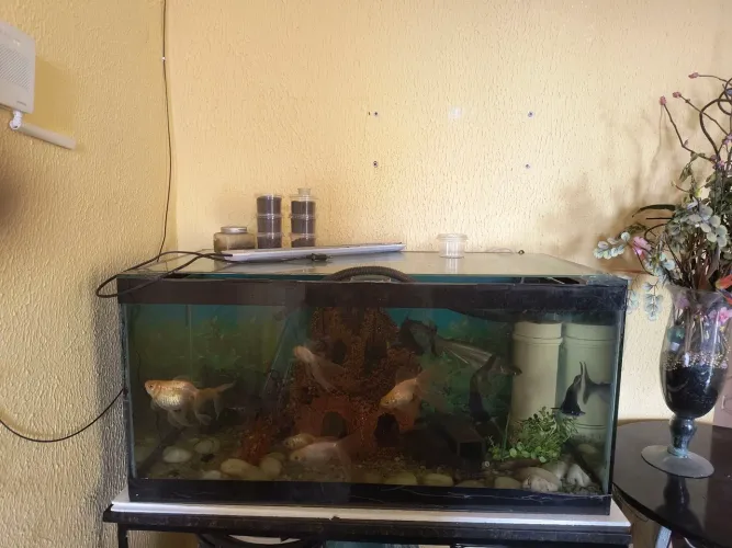 Vendo aquário completo