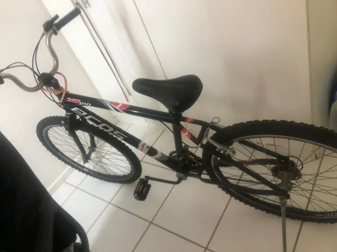 Bicicleta Ecos aro 29