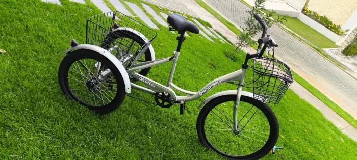 Bicicleta triciclo Dream Bike