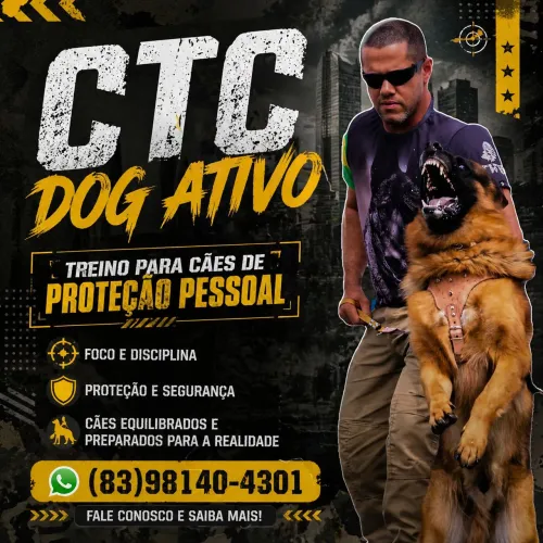 Adestramento de Cães