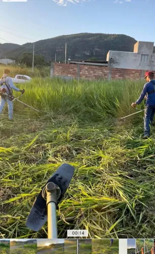 Podas de árvores e gramas