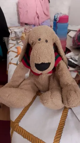 Cachorrinho de pelúcia Colombiano usado lindinho