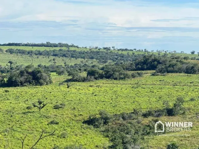 Fazenda à venda, 19320000 m² por R$ 33.500.000,00 - Tesouro - Tesouro/MT