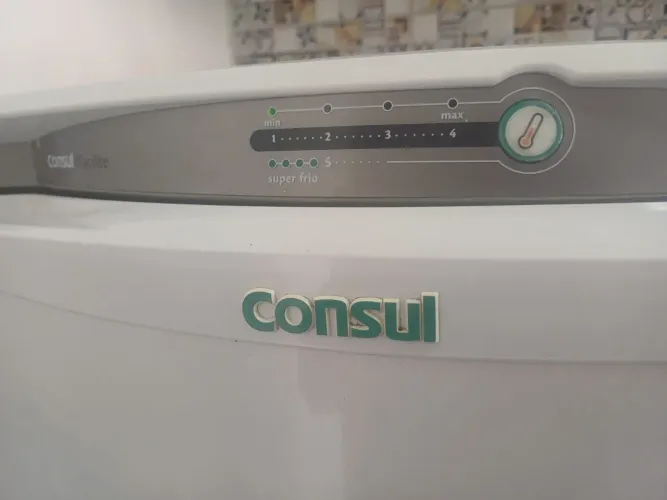 Refrigerador Consul Facilite 342L 1 Porta Frost Free 127V