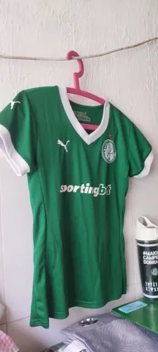 Vendo camisa do palmeiras feminina semi nova, tamanho M, verti apenas uma vez, R$ 100