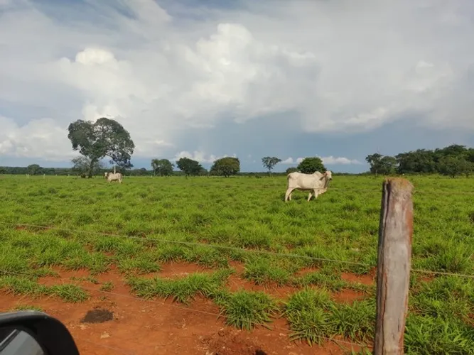 Fazenda de 288 alq no vale do Araguaia -TO