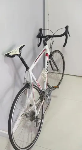 bicicleta caloi adulto