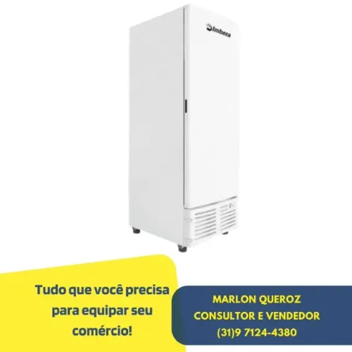Freezer Congelador Imbera Porta Cega