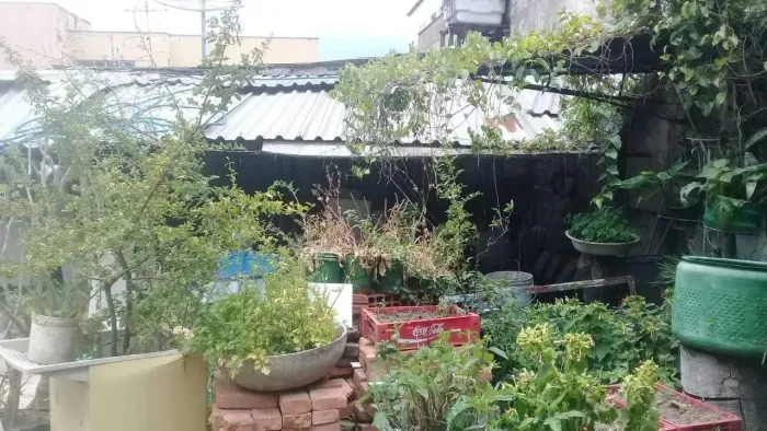 Lote - Terreno à venda, Colégio Batista - Belo Horizonte/MG