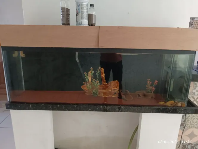 Aquario de 1,44cm  com Acessórios