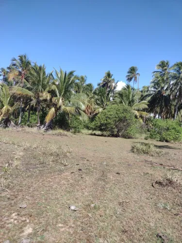 Sítio enfrente as dunas a 900 metros da praia Peba AL