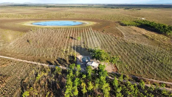 Sítio com 1 quartos à venda em Área rural de boa vista - RR