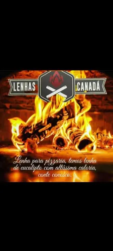Lenha para Pizzaria - Eucalipto com Alta Caloria - Canadá