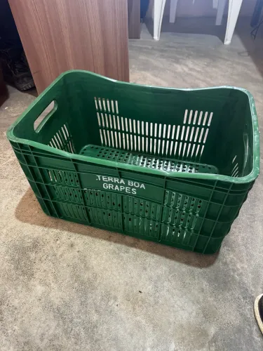 Caixa contentor para frutas