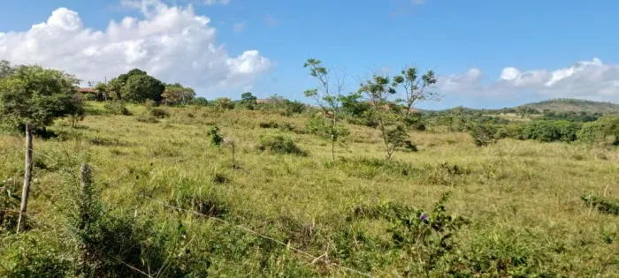 Terreno com 6 Tarefas