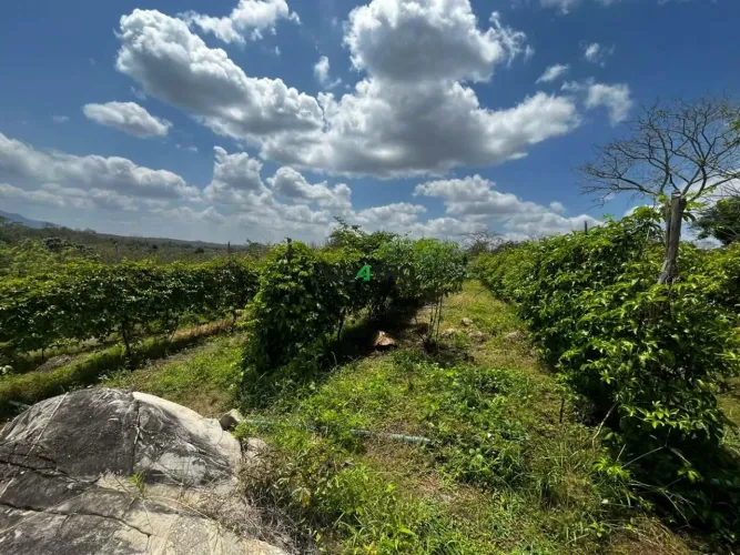 TERRENO RURAL DE 3 HECTARES ENTRE ACARAPE E GUAIÚBA/CE