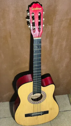 Violão Waldman Eletroacustico