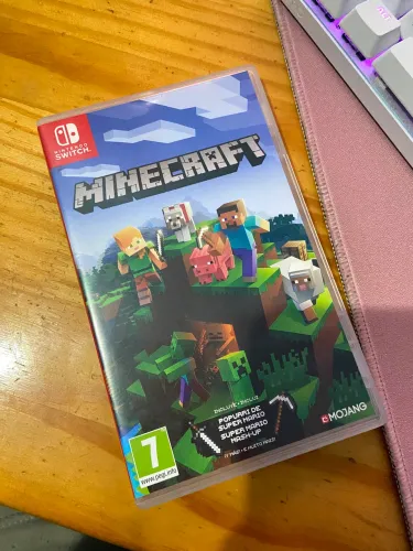 Minecraft Switch