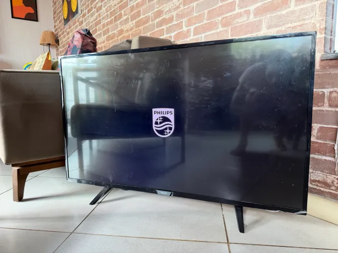 Televisão