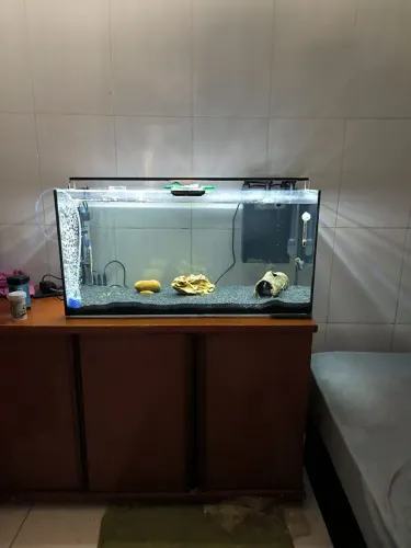 Aquário 100 litros com filtro completo