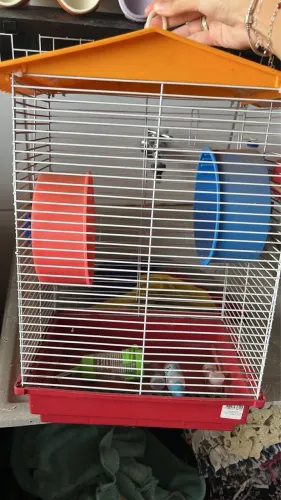 Gaiola hamster