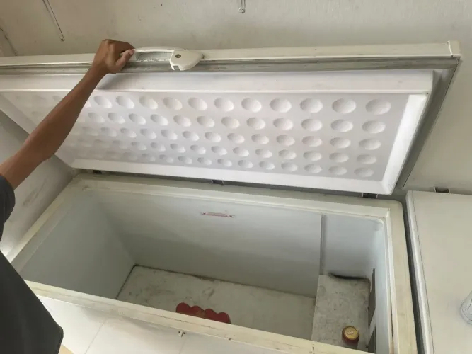 Vendesse freezer de 503 Lt